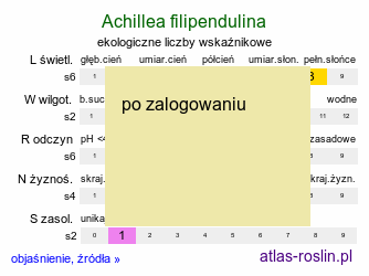 ekologiczne liczby wskaźnikowe Achillea filipendulina (krwawnik wiązówkowaty)