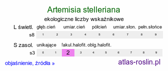 ekologiczne liczby wskaźnikowe Artemisia stelleriana (bylica Stellera)