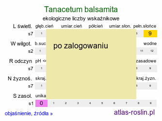 ekologiczne liczby wskaźnikowe Tanacetum balsamita (wrotycz balsamiczny)