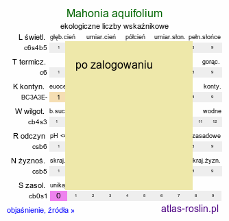 ekologiczne liczby wskaźnikowe Mahonia aquifolium (mahonia pospolita)