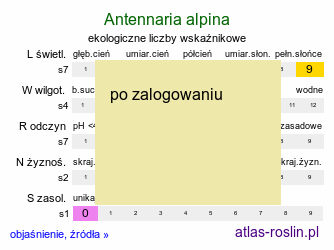 ekologiczne liczby wskaźnikowe Antennaria alpina (ukwap alpejski)