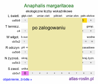 ekologiczne liczby wskaźnikowe Anaphalis margaritacea (anafalis perłowy)