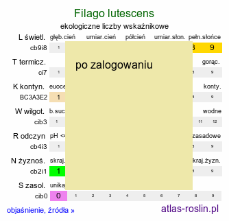 ekologiczne liczby wskaźnikowe Filago lutescens (nicennica żółtawa)