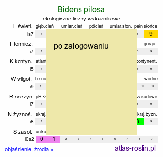 ekologiczne liczby wskaźnikowe Bidens pilosa (uczep owłosiony)