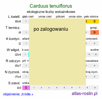 ekologiczne liczby wskaÅºnikowe Carduus tenuiflorus (oset wÄ…skokwiatowy)