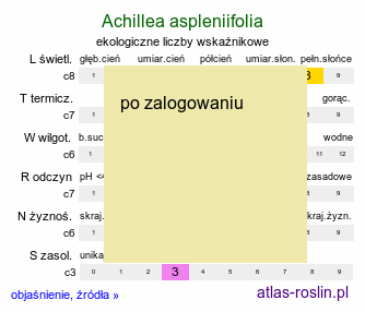 ekologiczne liczby wskaźnikowe Achillea aspleniifolia (krwawnik zachyłkolistny)