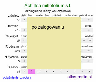 ekologiczne liczby wskaźnikowe Achillea millefolium s.l. (krwawnik pospolity s.l.)