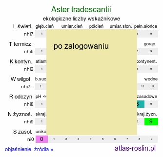 ekologiczne liczby wskaźnikowe Aster tradescantii (aster drobnokwiatowy)