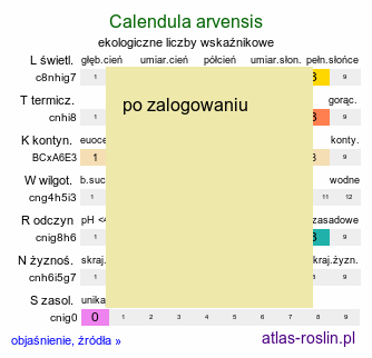 ekologiczne liczby wskaÅºnikowe Calendula arvensis (nagietek polny)