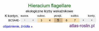 ekologiczne liczby wskaźnikowe Hieracium flagellare (jastrzębiec rozłogowy)