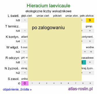 ekologiczne liczby wskaźnikowe Hieracium laevicaule (jastrzębiec równołodygowy)