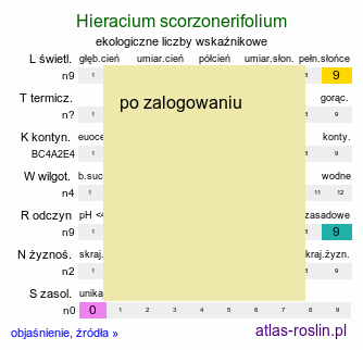 ekologiczne liczby wskaÅºnikowe Hieracium scorzonerifolium (jastrzÄ™biec wÄ™Å¼ymordolistny)