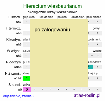 ekologiczne liczby wskaźnikowe Hieracium wiesbaurianum (jastrzębiec Wiesbaura)