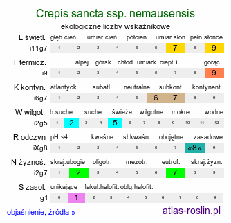 ekologiczne liczby wskaźnikowe Crepis sancta ssp. nemausensis (pępawa święta nimezyjska)