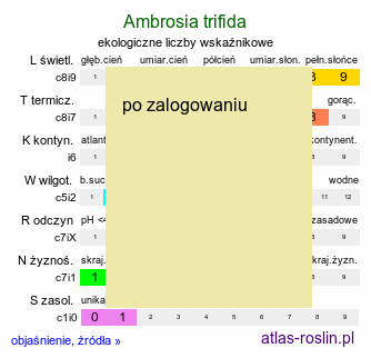 ekologiczne liczby wskaÅºnikowe Ambrosia trifida (ambrozja trÃ³jdzielna)