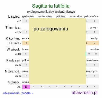 ekologiczne liczby wskaźnikowe Sagittaria latifolia (strzałka szerokolistna)