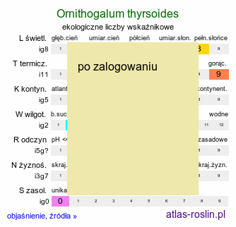 ekologiczne liczby wskaźnikowe Ornithogalum thyrsoides (śniedek wiechowaty)