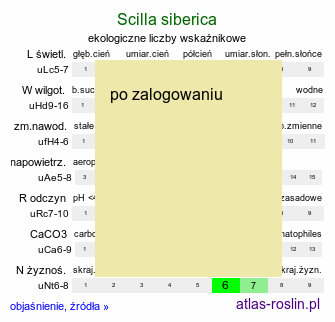 ekologiczne liczby wskaÅºnikowe Scilla siberica (cebulica syberyjska)