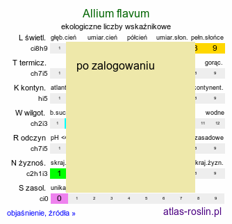 ekologiczne liczby wskaźnikowe Allium flavum (czosnek złocisty)