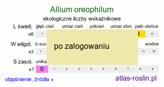 ekologiczne liczby wskaźnikowe Allium oreophilum (czosnek Ostrowskiego)
