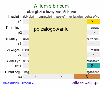 ekologiczne liczby wskaÅºnikowe Allium sibiricum (czosnek syberyjski)