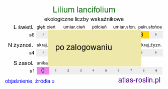 ekologiczne liczby wskaźnikowe Lilium lancifolium (lilia tygrysia)