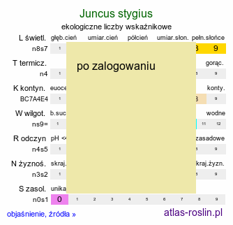 ekologiczne liczby wskaÅºnikowe Juncus stygius (sit torfowy)