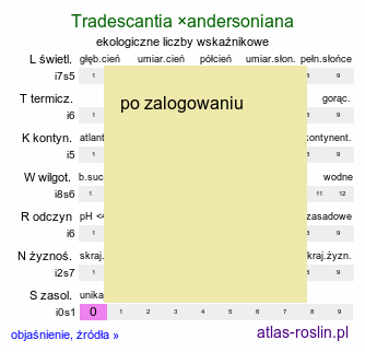 ekologiczne liczby wskaźnikowe Tradescantia ×andersoniana (trzykrotka wirginijska)