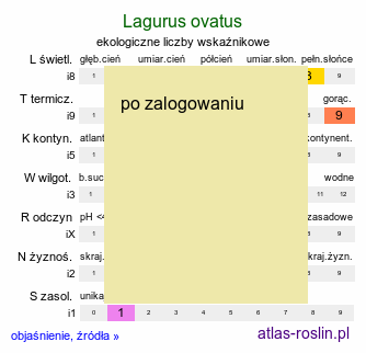 ekologiczne liczby wskaÅºnikowe Lagurus ovatus (dmuszek jajowaty)