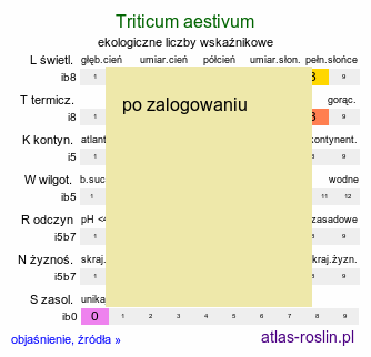 ekologiczne liczby wskaÅºnikowe Triticum aestivum (pszenica zwyczajna)