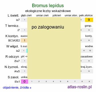 ekologiczne liczby wskaźnikowe Bromus lepidus (stokłosa delikatna)