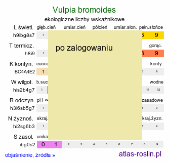 ekologiczne liczby wskaÅºnikowe Vulpia bromoides (wulpia stokÅ‚osowata)