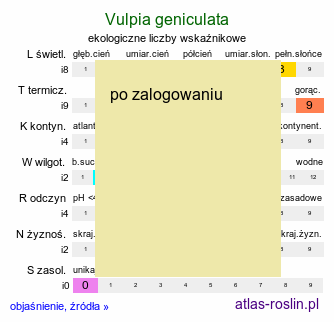 ekologiczne liczby wskaÅºnikowe Vulpia geniculata (wulpia kolankowata)