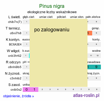 ekologiczne liczby wskaźnikowe Pinus nigra (sosna czarna)