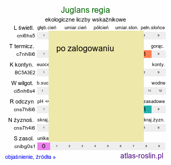 ekologiczne liczby wskaźnikowe Juglans regia (orzech włoski)
