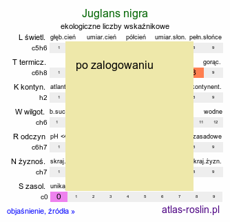 ekologiczne liczby wskaźnikowe Juglans nigra (orzech czarny)