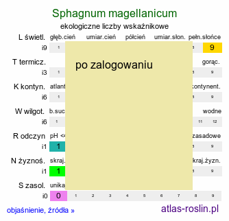 ekologiczne liczby wskaźnikowe Sphagnum magellanicum (torfowiec magellański)