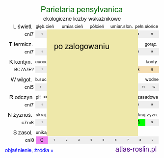 ekologiczne liczby wskaźnikowe Parietaria pensylvanica (parietaria pensylwańska)