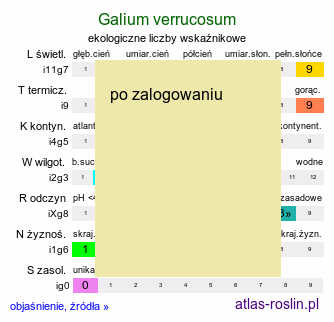 ekologiczne liczby wskaźnikowe Galium verrucosum (przytulia wielkoowockowa)