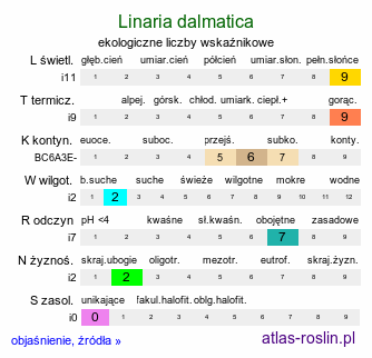 ekologiczne liczby wskaźnikowe Linaria dalmatica (lnica dalmacka)