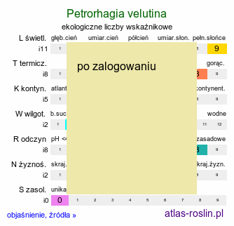 ekologiczne liczby wskaźnikowe Petrorhagia velutina (goździcznik aksamitny)