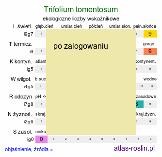 ekologiczne liczby wskaźnikowe Trifolium tomentosum (koniczyna kutnerowata)
