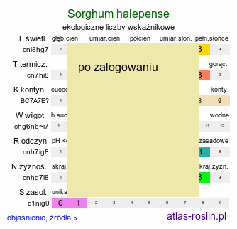 ekologiczne liczby wskaźnikowe Sorghum halepense (sorgo alepskie)