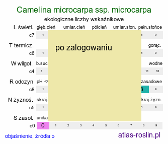 ekologiczne liczby wskaźnikowe Camelina microcarpa ssp. microcarpa (lnicznik drobnoowocowy typowy)
