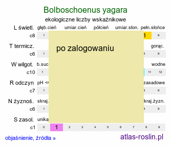 ekologiczne liczby wskaźnikowe Bolboschoenus yagara