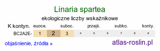 ekologiczne liczby wskaÅºnikowe Linaria spartea (linaria miotlasta)