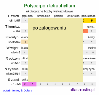 ekologiczne liczby wskaźnikowe Polycarpon tetraphyllum (polikarpon czterolistny)
