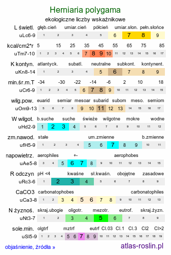 ekologiczne liczby wskaźnikowe Herniaria polygama (połonicznik wonny)