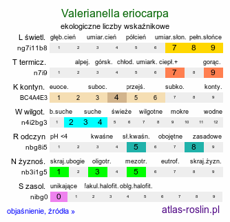 ekologiczne liczby wskaźnikowe Valerianella eriocarpa (roszpunka wełnistoowockowa)