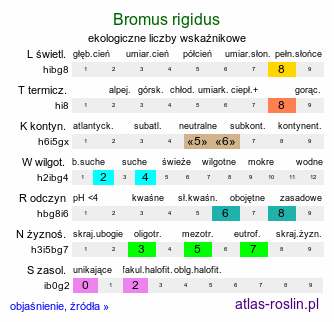 ekologiczne liczby wskaźnikowe Bromus rigidus (stokłosa sztywna)